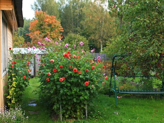 Jouw snelle weg naar buitenplezier