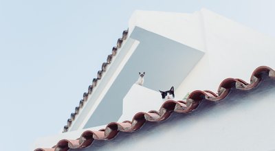 Duurzaam wonen in Arnhem begint bij een goed dak