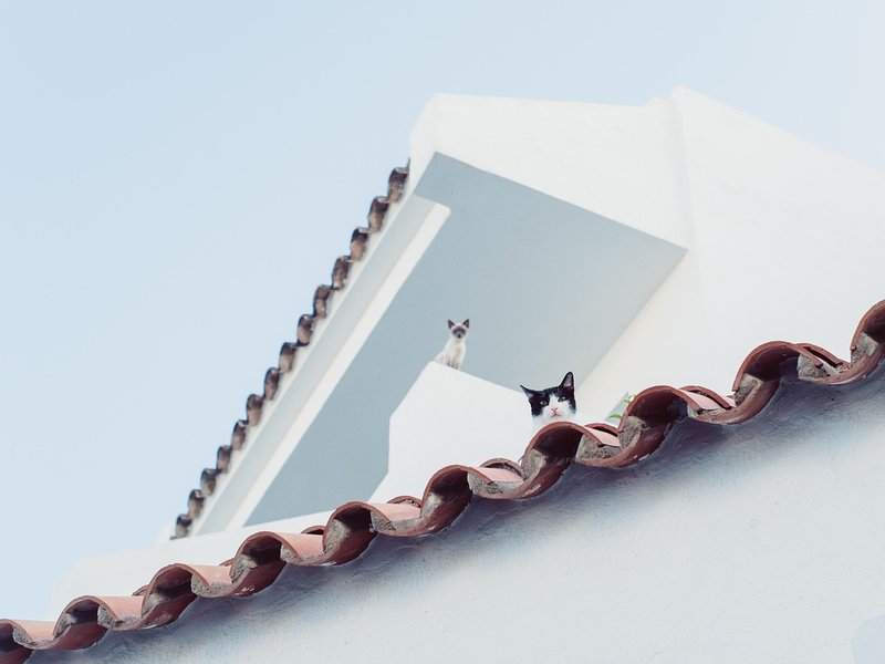 Duurzaam wonen in Arnhem begint bij een goed dak