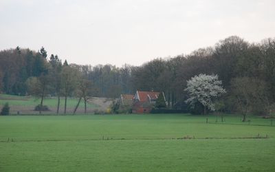 Oldenzaal — Boerderij op Tankenberg.JPG