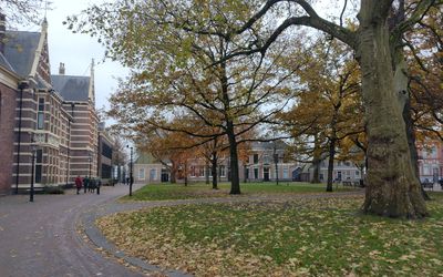 Assen — Brink (Assen) - herfst-2.jpg