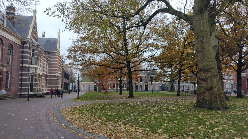 Assen — Brink (Assen) - herfst-2.jpg