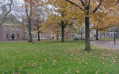 Assen — Brink (Assen) - herfst.jpg