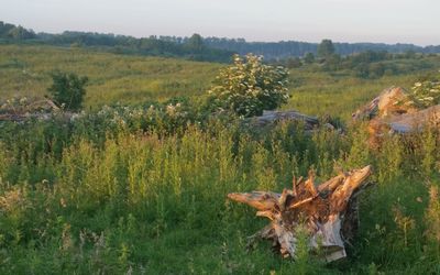 Zoetermeer — Buytenpark uitzicht - panoramio.jpg