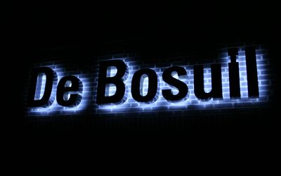 Weert — De Bosuil.JPG