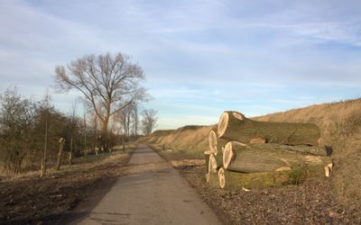 Houten — De Gedekte Gemeenschapsweg ten noorden van Fort Honswijk.jpg
