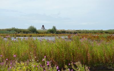 Lelystad — Distant view of the observation tower, Marker Wadden, 2022.jpg