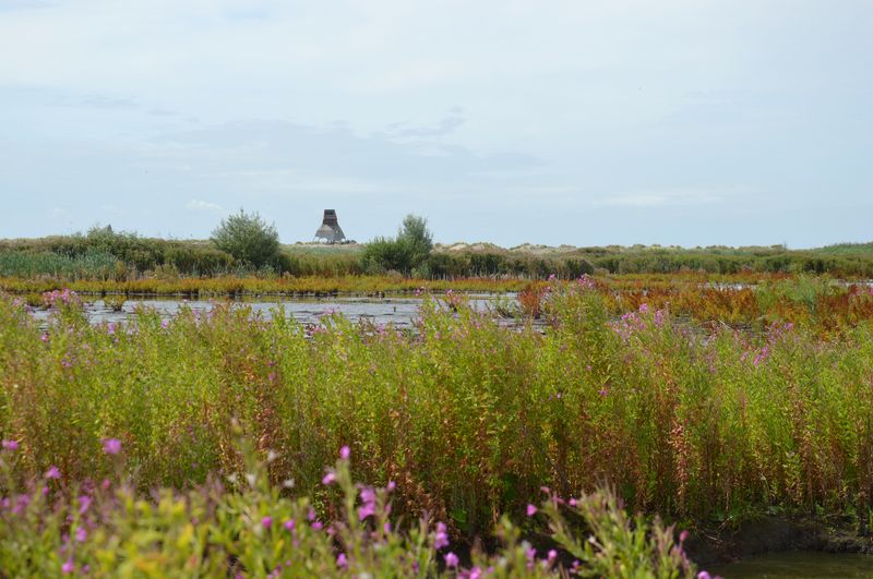 Lelystad — Distant view of the observation tower, Marker Wadden, 2022.jpg