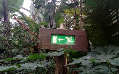 Emmen — Exit sign, Wildlands Adventure Zoo Emmen (2019) 15.jpg