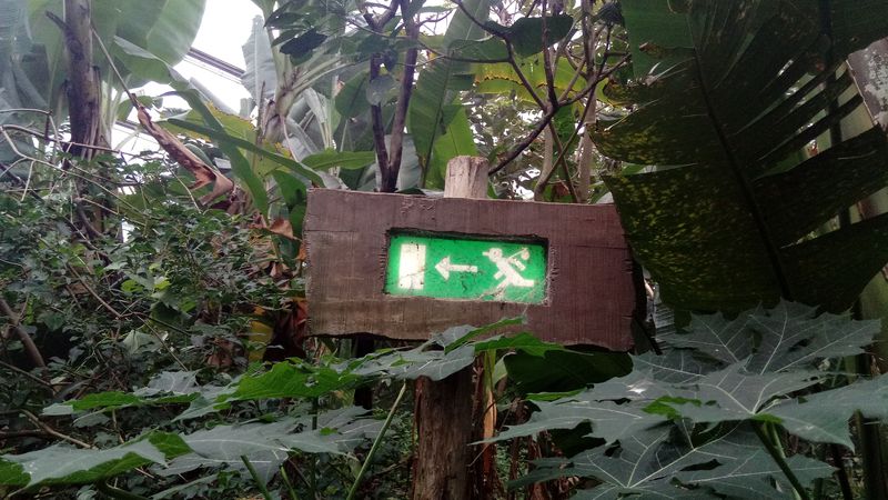 Emmen — Exit sign, Wildlands Adventure Zoo Emmen (2019) 15.jpg