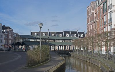 Helmond — Helmond Brandevoort De Plaetse seen from Laan door de Veste to the north.jpg