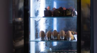 Horeca apparatuur kopen in Zuidplas: zo kiest u Horeca koelkasten die passen bij uw zaak