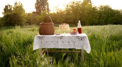 Inklapbare kinderpicknicktafel in Nissewaard: praktisch kiezen voor spelen, zitten en ruimte houden