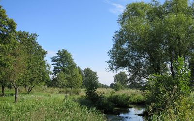 Weert — Kempen-Broek - panoramio.jpg