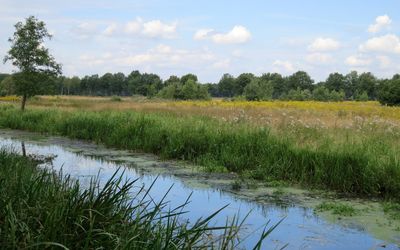 Weert — Kempen-Broek - panoramio (1).jpg