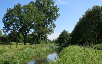 Weert — Kempen-Broek - panoramio (2).jpg