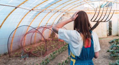 Kweekkasten en growtents in Deventer: stille moestuinen achter de IJsselkade