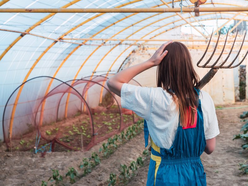 Kweekkasten en growtents in Deventer: stille moestuinen achter de IJsselkade