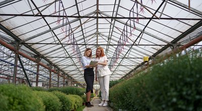 Kweekkasten en growtents in Helmond: eigen oogst tussen kanaal en kasteel
