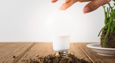 Kweeklampen en kweekkasten in Ridderkerk: eigen oogst aan de Nieuwe Maas