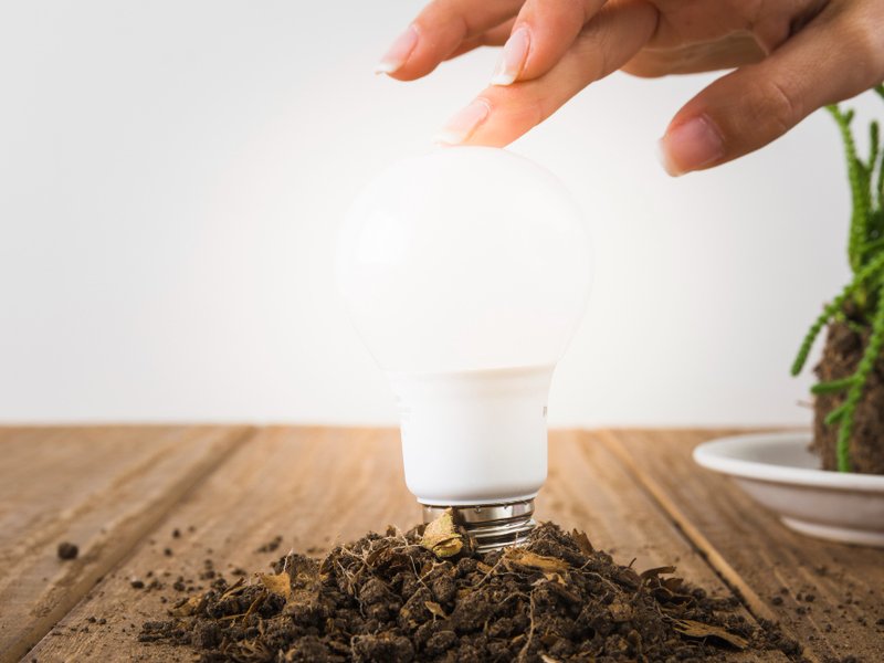 Kweeklampen en kweekkasten in Ridderkerk: eigen oogst aan de Nieuwe Maas