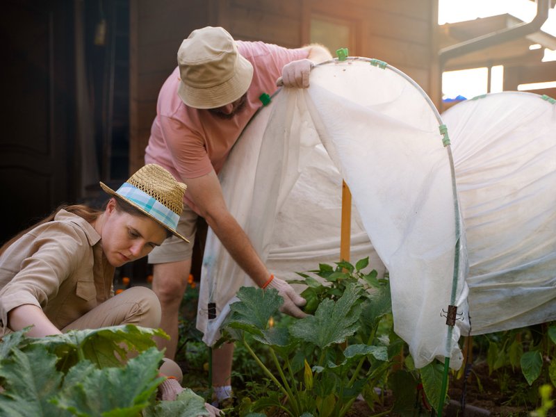 Kweektenten en kweeklampen in Veenendaal: eigen oogst tussen Rondweg en winkelcentrum