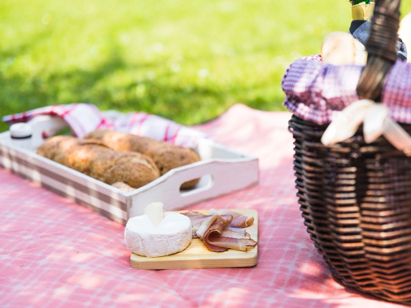Picknicktafel in Dordrecht: rustig oriënteren op wat past bij uw buitenruimte