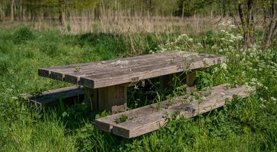 Picknicktafel inklapbaar in Zwijndrecht: flexibel omgaan met ruimte en dagelijks gebruik