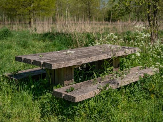Picknicktafel inklapbaar in Zwijndrecht: flexibel omgaan met ruimte en dagelijks gebruik