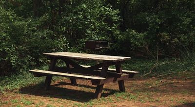 Picknicktafel met rugleuning in Vlaardingen: waar let u op voor comfortabel buiten zitten?