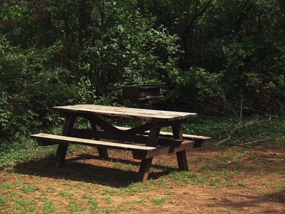 Picknicktafel met rugleuning in Vlaardingen: waar let u op voor comfortabel buiten zitten?