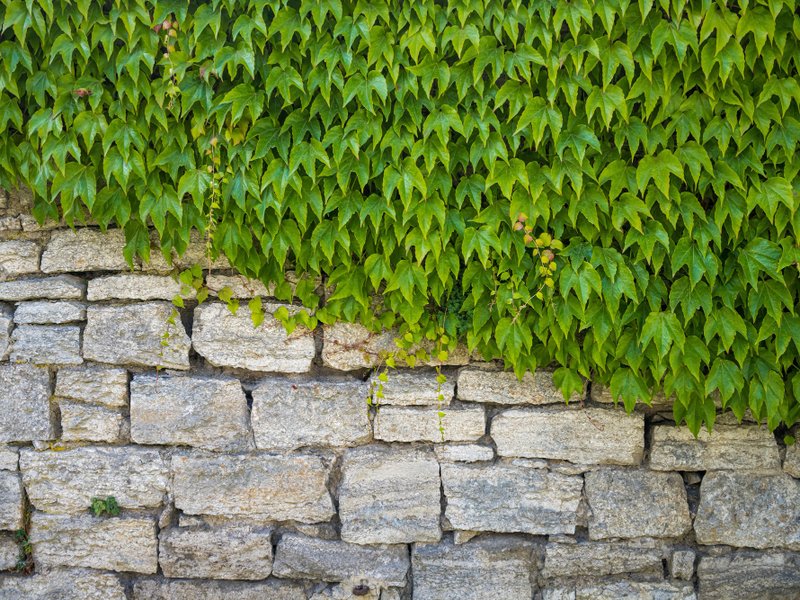 Polyester tuinproducten in Gouda: zo kies je slim en strak voor je tuin