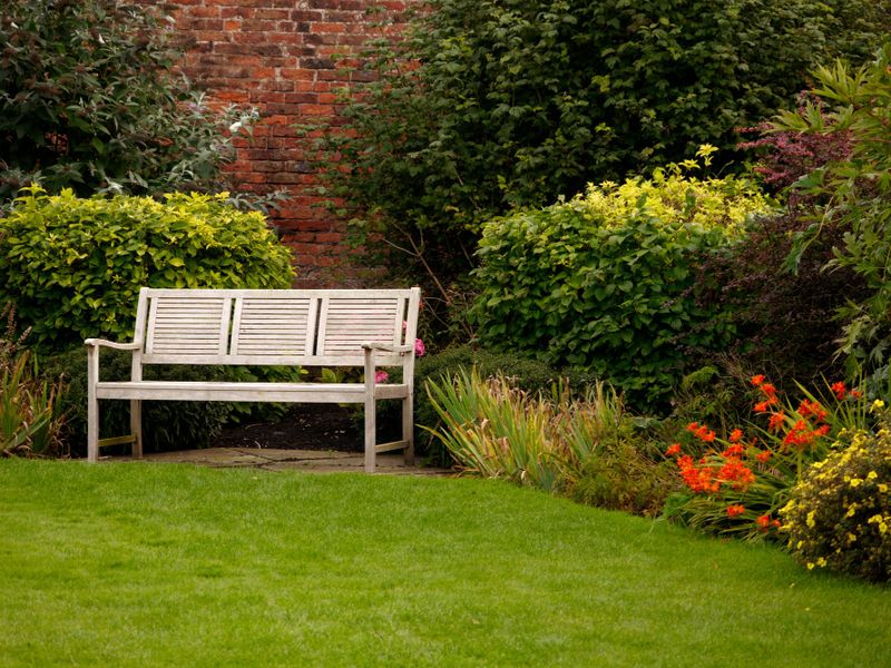 Polyester tuinproducten in Utrecht: wat past bij een stadstuin, dakterras of balkon?