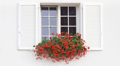 Raamdecoratie kopen in Utrecht: slimme keuzes voor sfeer, comfort en maatwerk