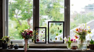 Raamdecoratie kopen in Zoetermeer: slim kiezen voor comfort, stijl en maatwerk