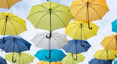 SEO specialist Oosterhout: maximale online zichtbaarheid voor uw bedrijf