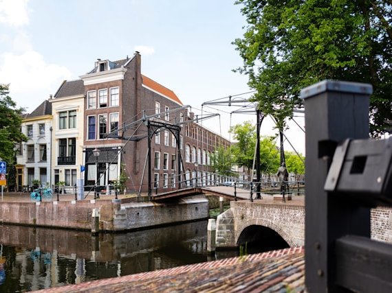 Seo specialist Schiedam: hét verschil voor online groei