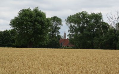 Haarlem — Sint-Bavokerk - Kanegem - juli 2022.jpg
