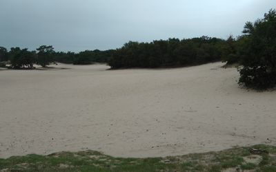 Soest — SoesterDuinen 2011 1.JPG