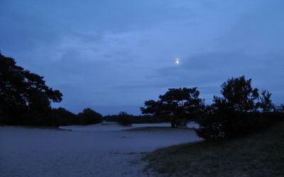 Soest — SoesterDuinen 2011 3.JPG