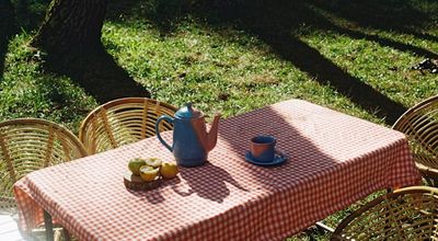 TipTop picknicktafel in Capelle aan den IJssel: rustig kijken naar wat past bij uw buitenruimte
