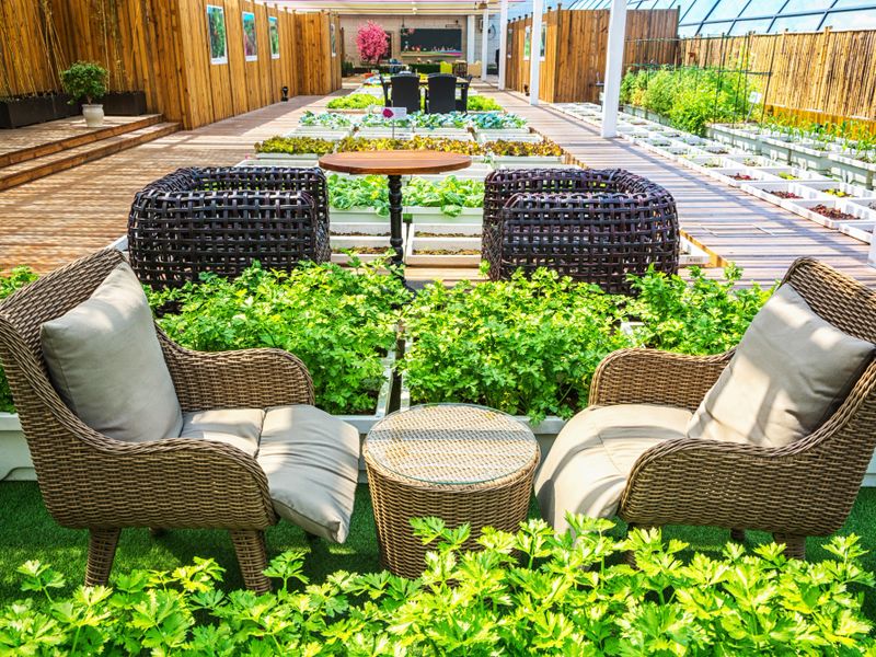 Tuinproducten in Capelle aan den IJssel: zo herken je topkwaliteit (en voorkom je miskopen)