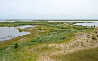 Lelystad — View east from the observation tower, Marker Wadden, 2022.jpg
