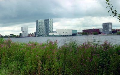 Almere — Weerwater, Almere - panoramio - Hermanus Es (5).jpg