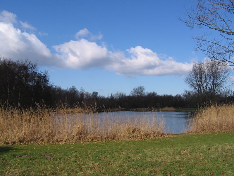 Rijswijk — Wilhelminapark Rijswijk 002.jpg