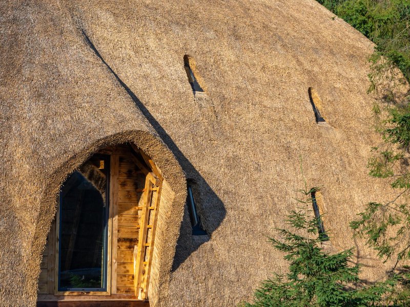 De toekomst van dakbedekking