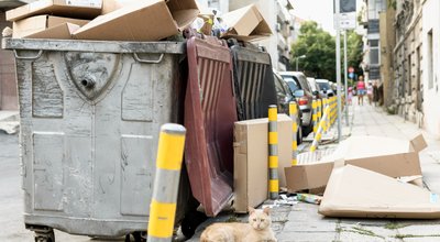 Puincontainer huren? Afvalcontainers Korevaar heeft de perfecte oplossing voor jouw afval