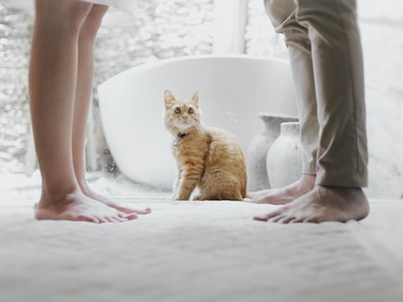 De meest voorkomende problemen in een huwelijk