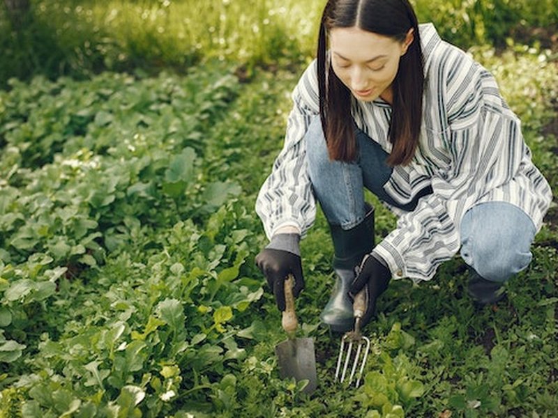 De kunst van tuintransformatie voor puur genot