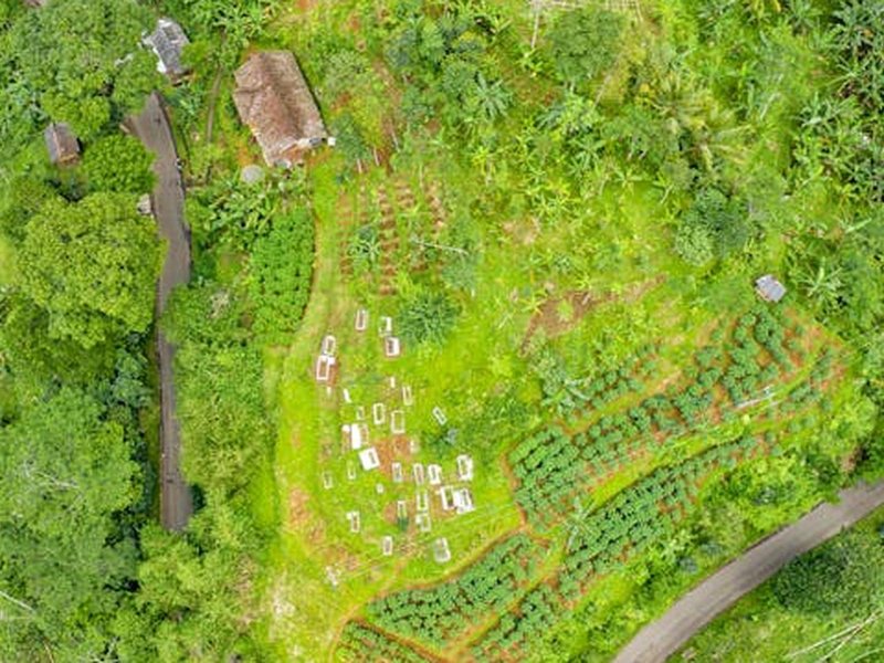 Hoe je je tuingereedschap kunt onderhouden